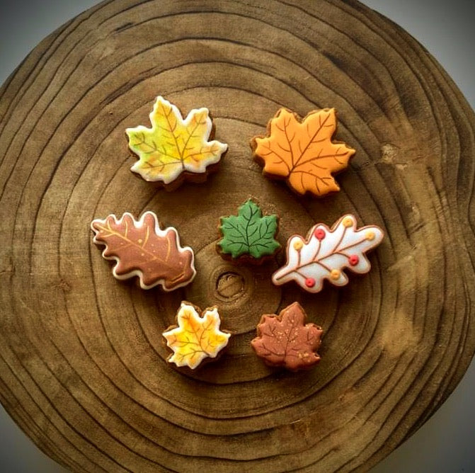 Maple leaf cookie cutter