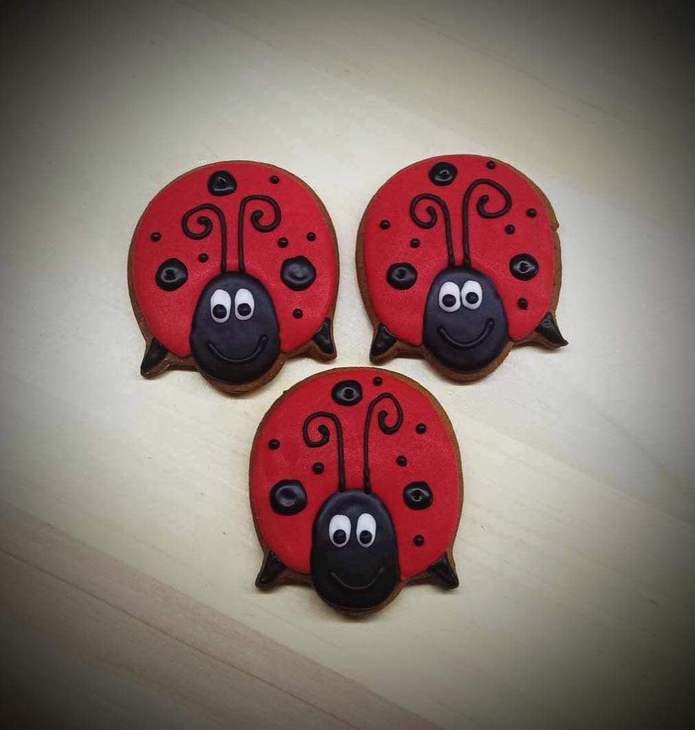 Ladybug cutter 1 outline