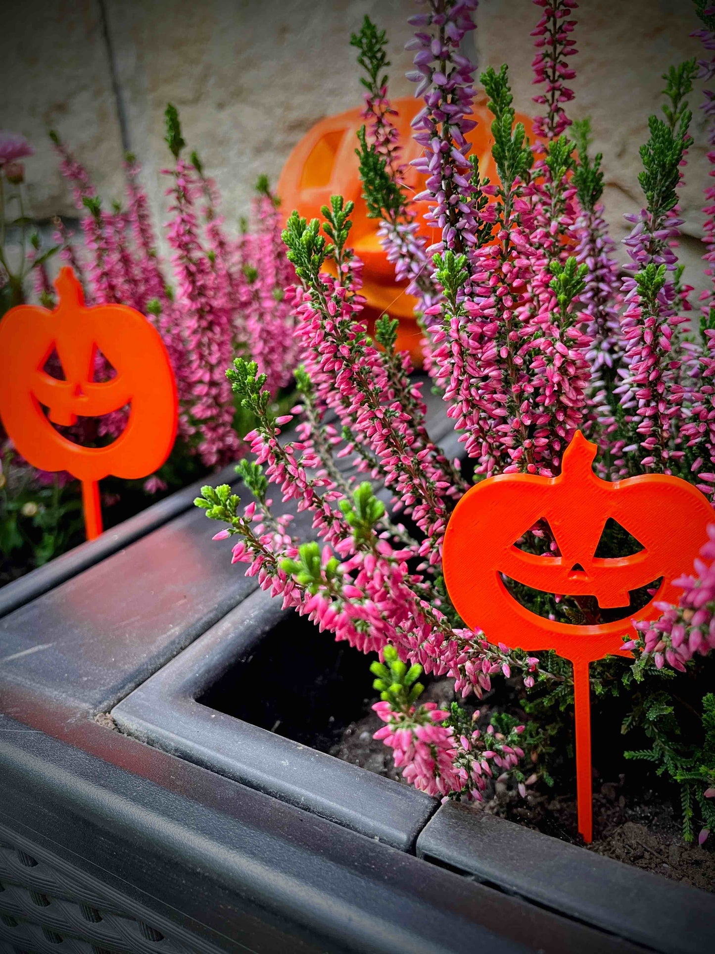 Punch in a flower pot - Pumpkins Halloween